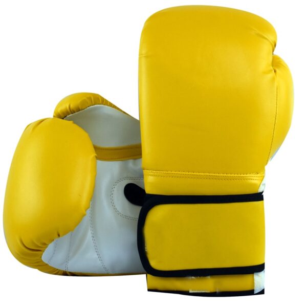 Training-Boxing-Gloves-TA15