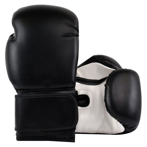 Training-Boxing-Gloves-TA2