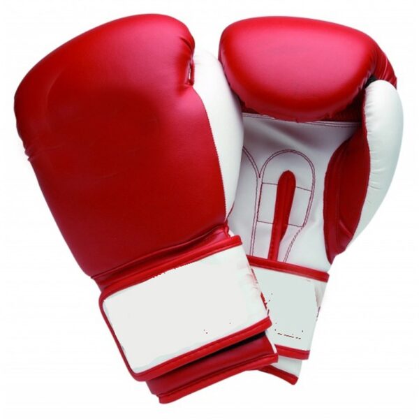 Training-Boxing-Gloves-TA17