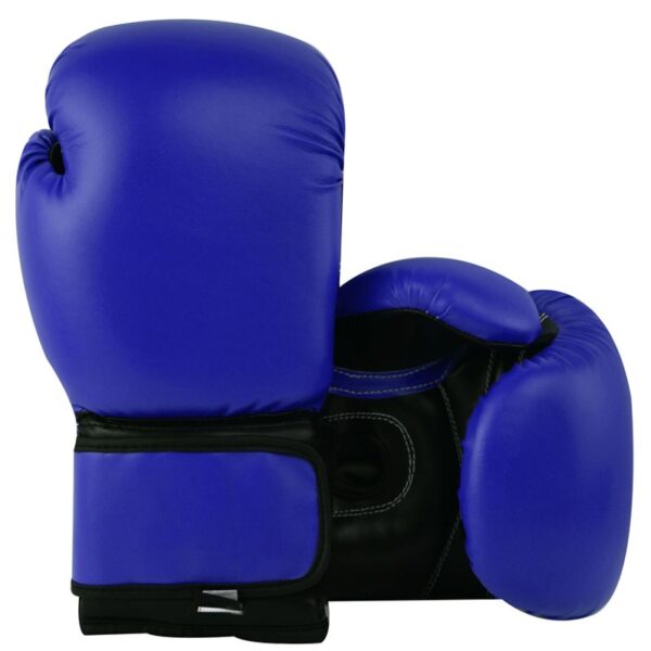 Training-Boxing-Gloves-TA3