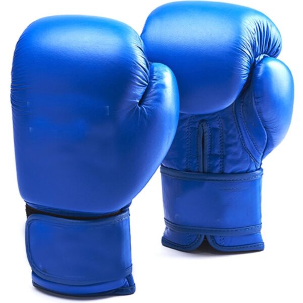 Training-Boxing-Gloves-TA19