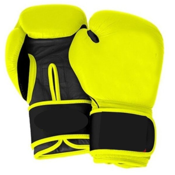 Training-Boxing-Gloves-TA22