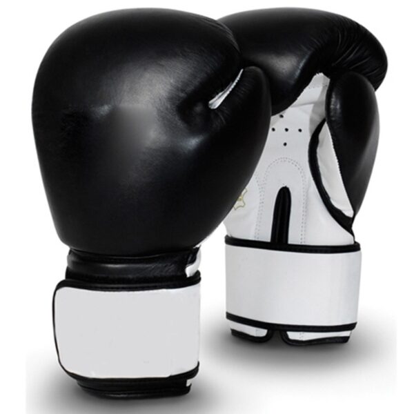 Training-Boxing-Gloves-TA23