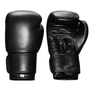 Training-Boxing-Gloves-TA24