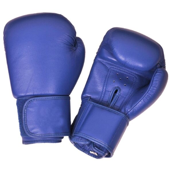 Training-Boxing-Gloves-TA26